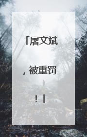 屠文斌，被重罚！