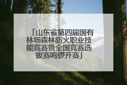 山东省第四届国有林场森林防火职业技能竞赛暨全国竞赛选拔赛鸣锣开赛