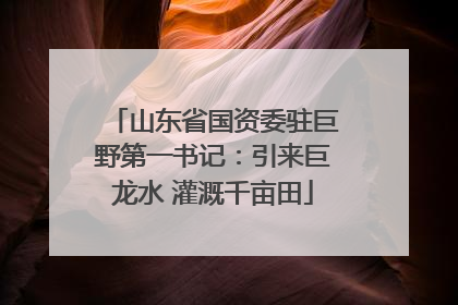山东省国资委驻巨野第一书记：引来巨龙水 灌溉千亩田