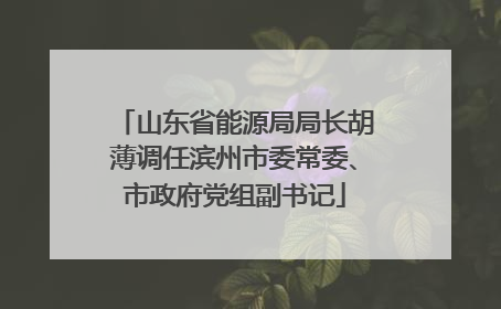 山东省能源局局长胡薄调任滨州市委常委、市政府党组副书记