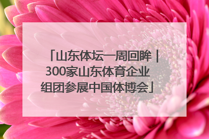 山东体坛一周回眸｜300家山东体育企业组团参展中国体博会