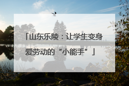 山东乐陵：让学生变身爱劳动的“小能手”
