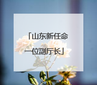 山东新任命一位副厅长