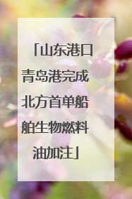 山东港口青岛港完成北方首单船舶生物燃料油加注