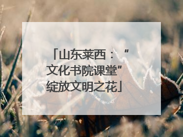 山东莱西：“文化书院课堂”绽放文明之花