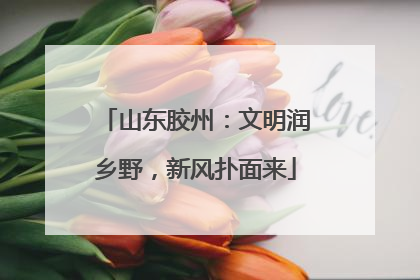 山东胶州：文明润乡野，新风扑面来