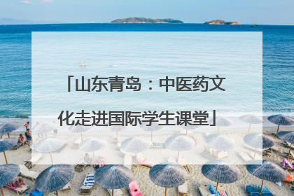 山东青岛：中医药文化走进国际学生课堂