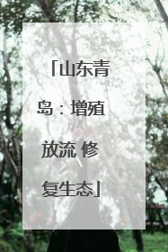 山东青岛：增殖放流 修复生态