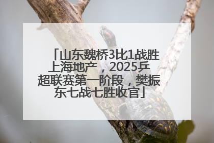 山东魏桥3比1战胜上海地产，2025乒超联赛第一阶段，樊振东七战七胜收官