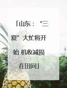 山东：“三夏”大忙将开始 机收减损在田间