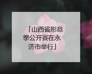 山西省形意拳公开赛在永济市举行
