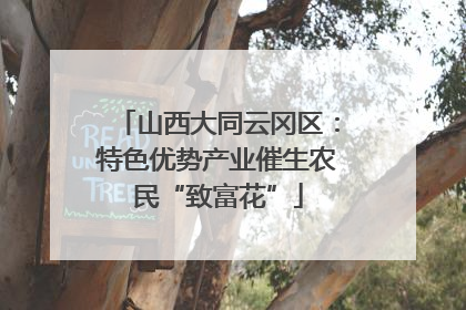 山西大同云冈区：特色优势产业催生农民“致富花”