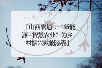 山西襄垣：“新能源+智慧农业”为乡村振兴赋能添翼
