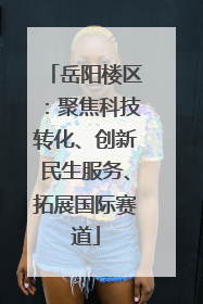 岳阳楼区：聚焦科技转化、创新民生服务、拓展国际赛道