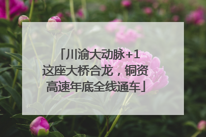 川渝大动脉+1 这座大桥合龙，铜资高速年底全线通车