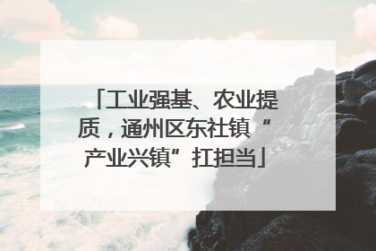 工业强基、农业提质，通州区东社镇“产业兴镇”扛担当