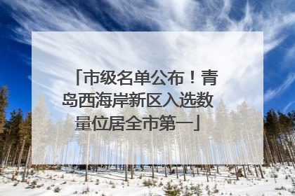 市级名单公布！青岛西海岸新区入选数量位居全市第一