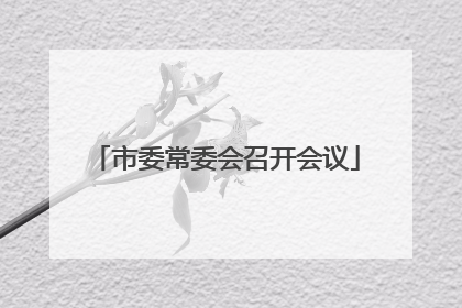 市委常委会召开会议