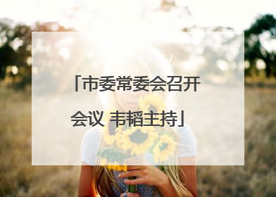 市委常委会召开会议 韦韬主持