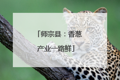 师宗县：香葱产业一路鲜