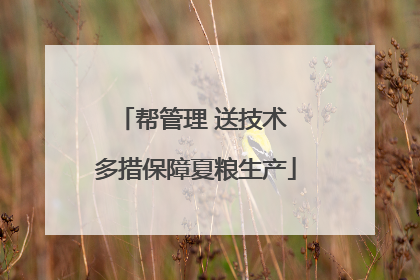 帮管理 送技术 多措保障夏粮生产