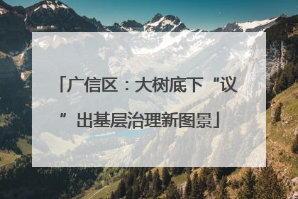 广信区：大树底下“议”出基层治理新图景