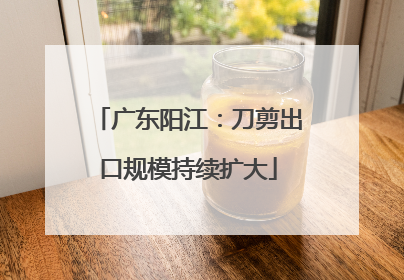 广东阳江：刀剪出口规模持续扩大