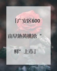 广安区600亩早熟黄桃抢“鲜”上市