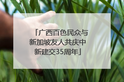 广西百色民众与新加坡友人共庆中新建交35周年