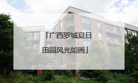 广西罗城夏日田园风光如画