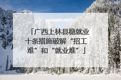 广西上林县稳就业十条措施破解“招工难”和“就业难”