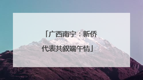 广西南宁：新侨代表共叙端午情