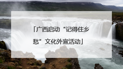 广西启动“记得住乡愁”文化外宣活动