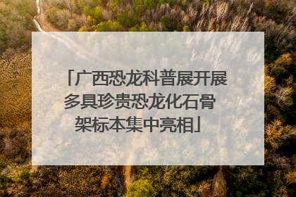 广西恐龙科普展开展 多具珍贵恐龙化石骨架标本集中亮相