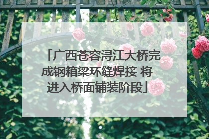 广西苍容浔江大桥完成钢箱梁环缝焊接 将进入桥面铺装阶段