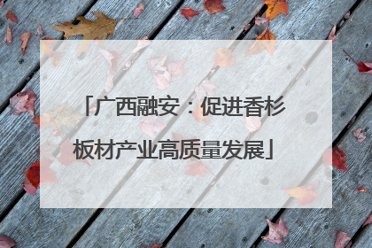 广西融安：促进香杉板材产业高质量发展