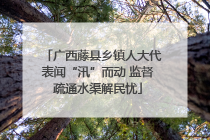 广西藤县乡镇人大代表闻“汛”而动 监督疏通水渠解民忧