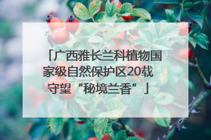 广西雅长兰科植物国家级自然保护区20载守望“秘境兰香”