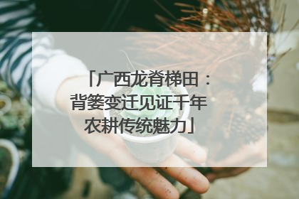 广西龙脊梯田：背篓变迁见证千年农耕传统魅力