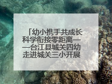 幼小携手共成长科学衔接零距离——台江县城关四幼走进城关三小开展幼小衔接活动