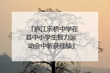 庐江乐桥中学在县中小学生智力运动会中斩获佳绩