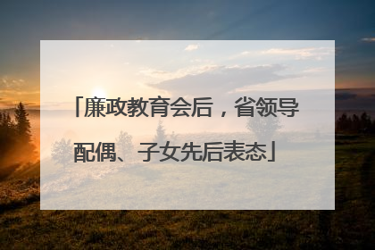 廉政教育会后，省领导配偶、子女先后表态