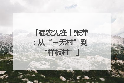 强农先锋丨张萍：从“三无村”到“样板村”
