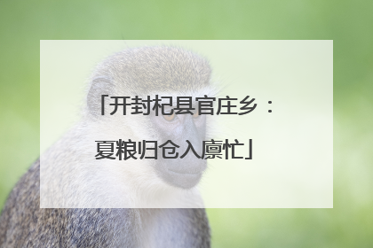 开封杞县官庄乡：夏粮归仓入廪忙