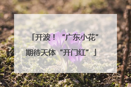 开波！“广东小花”期待天体“开门红”