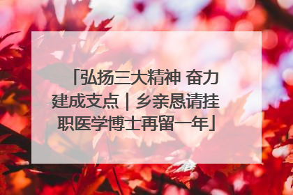 弘扬三大精神 奋力建成支点｜乡亲恳请挂职医学博士再留一年