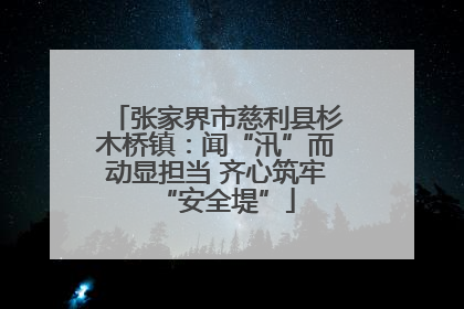 张家界市慈利县杉木桥镇：闻“汛”而动显担当 齐心筑牢“安全堤”