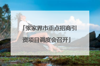 张家界市重点招商引资项目调度会召开