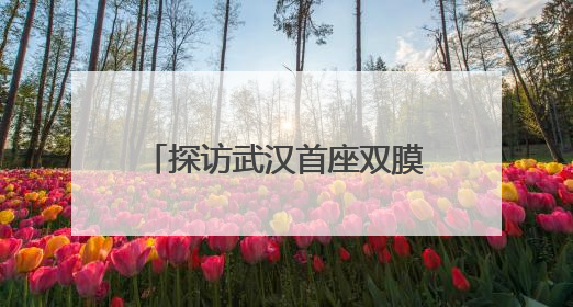 探访武汉首座双膜工艺水厂，筛网孔径比头发丝还细