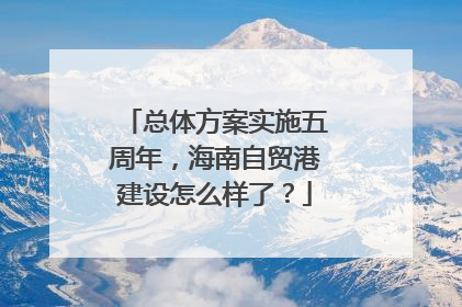 总体方案实施五周年，海南自贸港建设怎么样了？